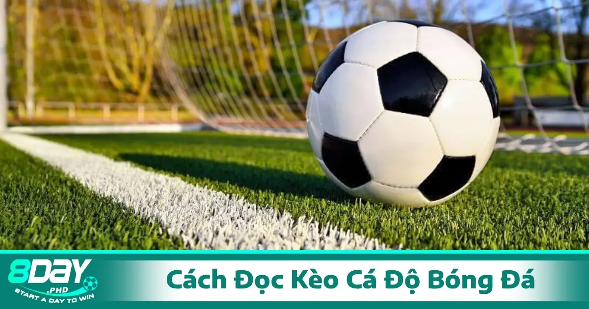Cách Đọc Kèo Cá Độ Bóng Đá Từ A Đến Z Cho Người Mới 1 hiểu rõ cách đọc kèo cá độ bóng đá là chìa khóa để có thể đưa ra các quyết định đúng đắn.