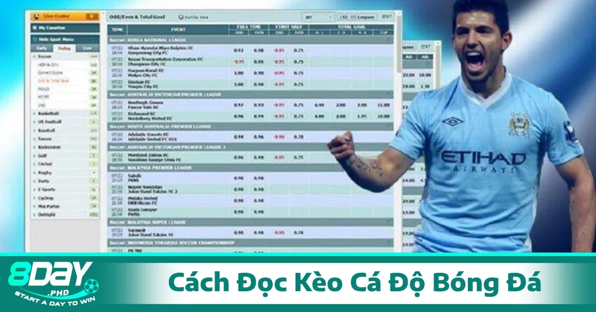 Cách Đọc Kèo Cá Độ Bóng Đá Từ A Đến Z Cho Người Mới 3 Cách đọc kèo cá độ bóng đá và nhận biết cách loại kèo