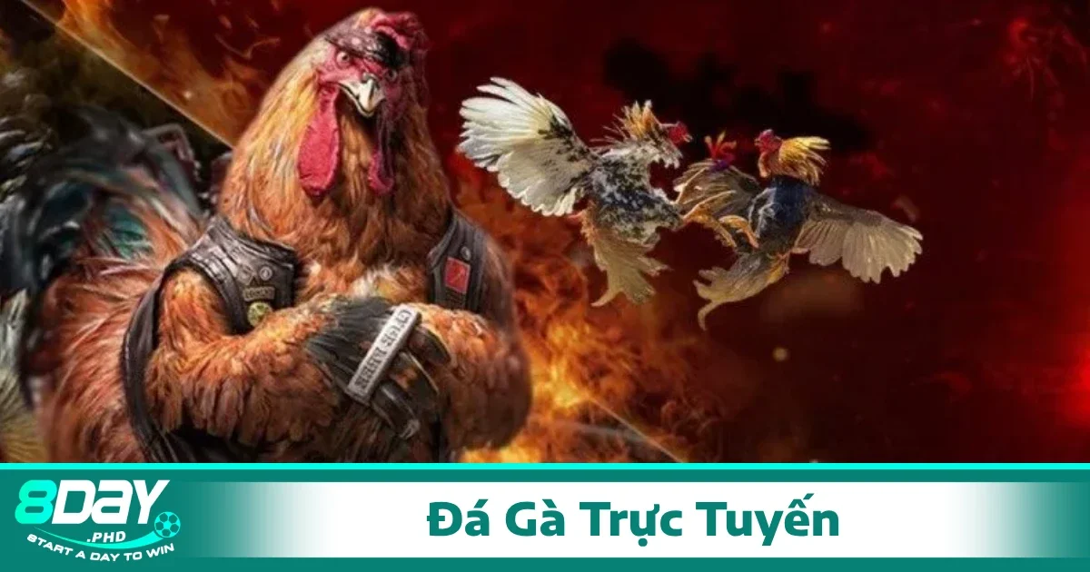 Đá Gà Trực Tuyến 3 Việc đặt cược trong đá gà trực tuyến không chỉ đơn giản mà còn đòi hỏi sự chính xác, nhanh nhẹn để không bỏ lỡ thời cơ
